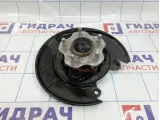 Ступица задняя правая Nissan Juke (YF15) 43202-1KA0A