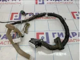 Проводка передней левой двери Nissan Juke (YF15) 24125-1KA1B