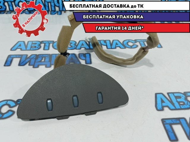 Накладка на торпедо Nissan Leaf 250203NA0A.