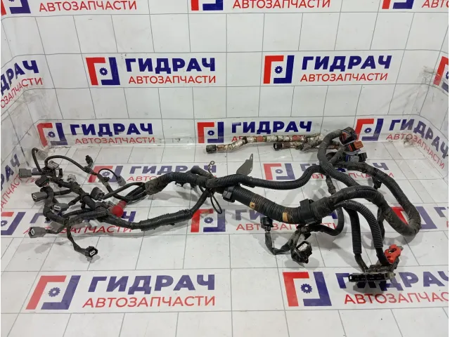 Проводка двигателя Nissan Note 240119U01C