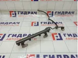 Топливная рампа (топливная рейка) Nissan Note 17520ED00A