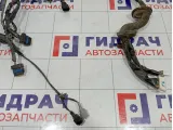 Проводка двери передней левой Nissan Pathfinder 24124EB304