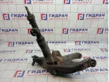 Рычаг задний нижний правый Nissan Patrol (Y62) 551A0-1LB0B