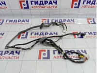 Проводка двери передней левой Nissan Qashqai (J10) 24124-JD06B