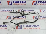 Проводка двери передней правой Nissan Qashqai (J10) 24125-JD04B