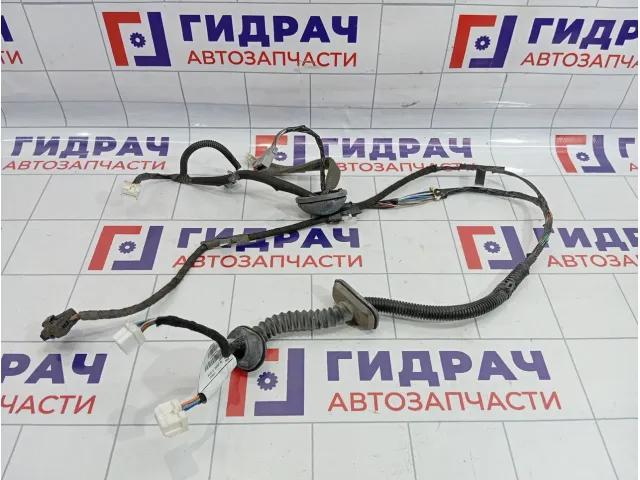 Проводка двери передней правой Nissan Qashqai (J10) 24125-JD04B