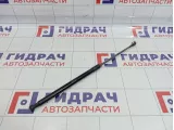 Амортизатор двери багажника Nissan Qashqai (J10) 90450-JD01B