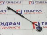 Амортизатор крышки (двери) багажника левый Nissan Qashqai 90450JD01C