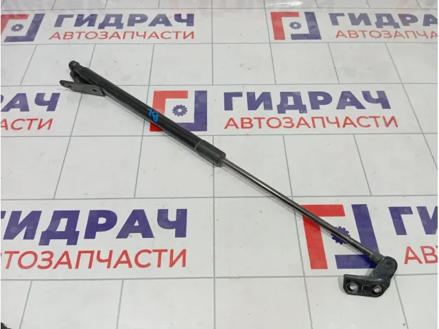 Амортизатор крышки (двери) багажника левый Nissan Qashqai 90450JD01C