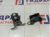 Петли двери задней правой Nissan Qashqai