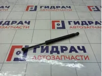 Амортизатор крышки (двери) багажника Nissan Teana 84430JN00A