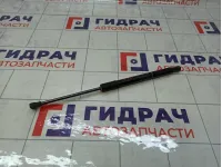 Амортизатор крышки (двери) багажника Nissan Terrano 904521364R
