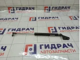 Амортизатор крышки (двери) багажника левый Nissan Tiida 90451EL00A