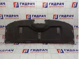 Полка Nissan Tiida (C11) 79910-ZW83A