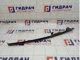 Направляющая стекла двери задняя левая Nissan Tiida (C11) 82223-EL400