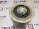 Рычаг передний левый Nissan X-Trail (T30) 54501-8H310