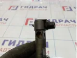 Форсунка дизельная электрическая Opel Antara (С145) 25183186