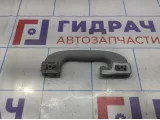 Ручка внутренняя потолочная Opel Astra (H) 2353394