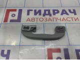 Ручка внутренняя потолочная Opel Astra (H) 2353394