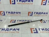 Амортизатор капота Opel Astra 24465295