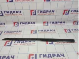 Молдинг передней левой двери Opel Astra (H) 172640