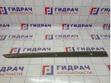 Молдинг передней левой двери Opel Astra (H) 172640