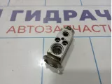 Клапан кондиционера Opel Astra (H) 1618314