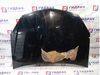 Капот Opel Astra (H) 1160254