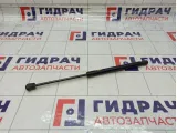 Амортизатор двери багажника Opel Astra (H) 24463829