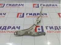 Петля крышки багажника правая Opel Astra (H) 176424