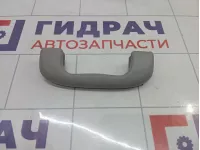 Ручка внутренняя потолочная передняя Opel Astra (H) 2353393