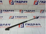 Амортизатор двери багажника Opel Corsa D 176414