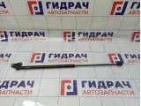 Амортизатор двери багажника Opel Corsa D 176414