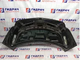 Крышка багажника Opel Insignia 13275284