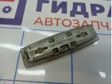 Плафон салонный Opel Zafira B 1230096