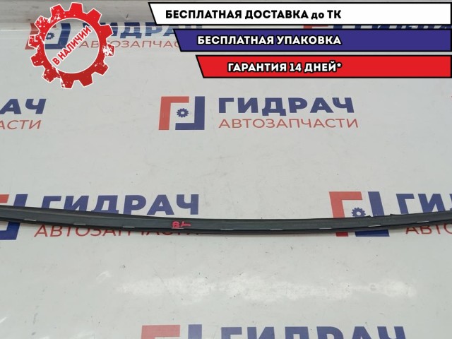 Уплотнитель стекла двери задней левой Opel Zafira 2 . Наружняя.