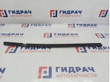 Уплотнитель стекла двери задней левой Opel Zafira 2 . Наружняя.