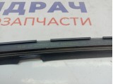 Уплотнитель стекла двери задней левой Opel Zafira 2 . Наружняя.