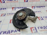 Кулак поворотный задний левый Volkswagen Passat CC 3C0505435F