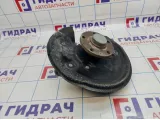 Кулак поворотный задний левый Volkswagen Passat CC 3C0505435F