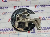 Кулак поворотный задний левый Volkswagen Passat CC 3C0505435F