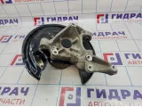 Кулак поворотный задний правый Volkswagen Passat CC 3C0505436F