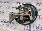 Кулак поворотный задний правый Volkswagen Passat CC 3C0505436F