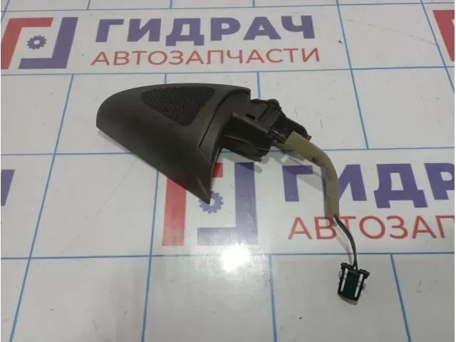 Крышка зеркала внутренняя левая Volkswagen Passat CC 3C8837973C9B9