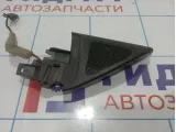 Крышка зеркала внутренняя левая Volkswagen Passat CC 3C8837973C9B9