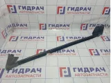 Уплотнитель стекла двери заднего левого Volkswagen Passat CC 3C8839471C5AP