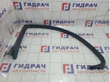 Уплотнитель двери задний левый Volkswagen Passat CC 3C8854545L