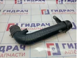 Патрубок интеркулера Volkswagen Passat CC 1K0129654AP