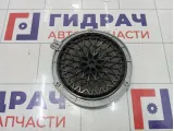 Динамик задний Peugeot 2008 9803506380