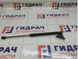 Амортизатор крышки (двери) багажника правый Peugeot 3008 8731T4